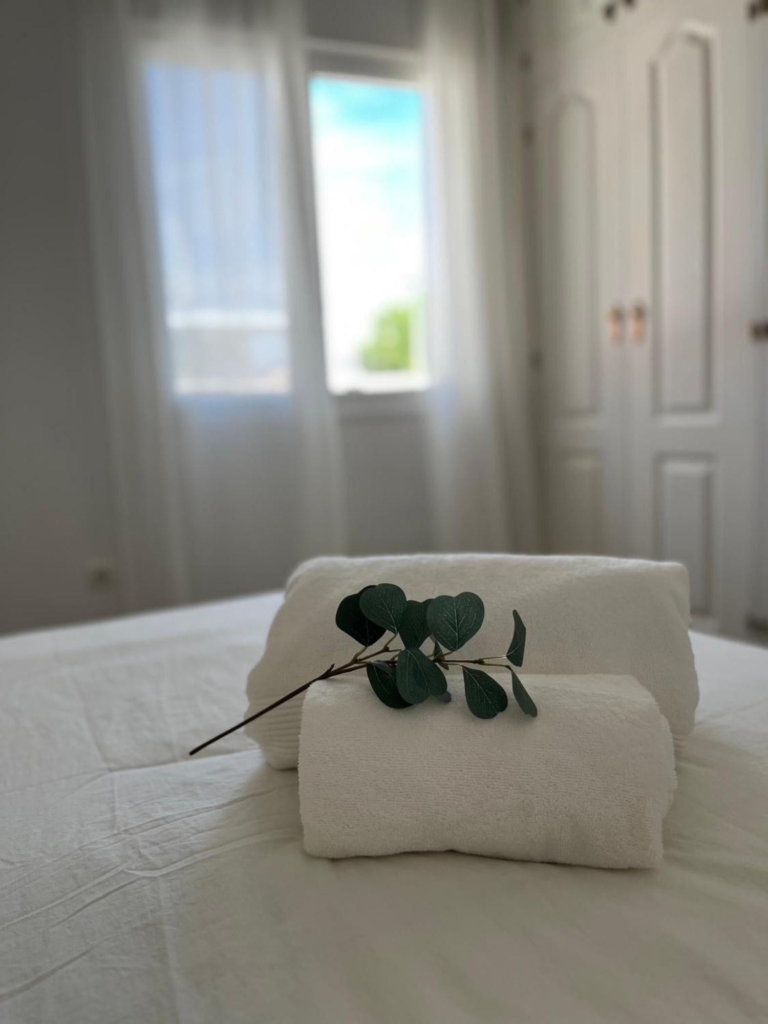 Prime Location - Stylish With Free Wifi, Free Parking, Steps From The Historic Center Apartment Málaga